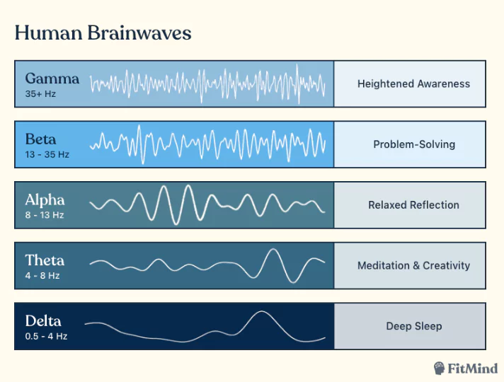infographic showing the five human brainwave states—Gamma, Beta, Alpha, Theta, and Delta—each labeled with frequency ranges and associated mental states like heightened awareness, problem-solving, and deep sleep. The graphic illustrates how neuroscience connects brainwave frequencies to biological productivity rhythms.